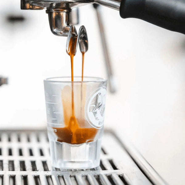 RHINO SHOT GLASS 2OZ/60ML - The Coffee Machine Collective